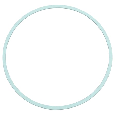 Bedford Precision Parts Bedford Precision Gasket for Titan/Speeflo 850-004 10-1208